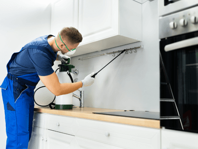 About Bat Exclusion Maumelle - bat exclusion experts in Maumelle